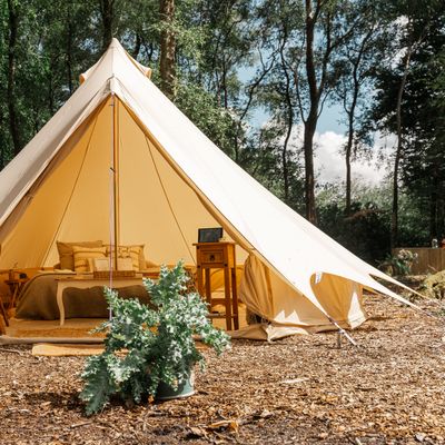 Hillfort woodland weddings