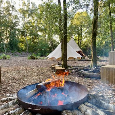 Hillfort woodland weddings