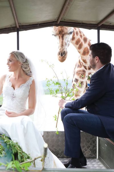 port lymph wildlife reserve and safari hotel wedding competition