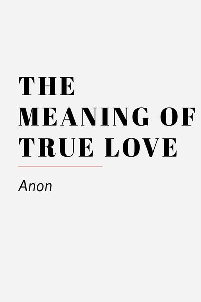 the meaning of true love anon 13