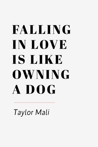 Falling In Love Is Like Owning A Dog Cover 48