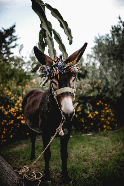 Luisa Simon Elopement Cyprus 36