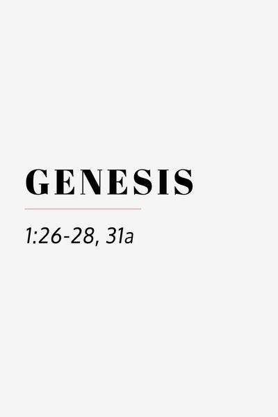 genesis 1 26 28 31a