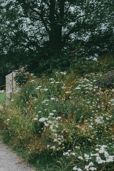 Nancarrow Farm Cornwall Wedding With Bride In Jane Bourvis Gown