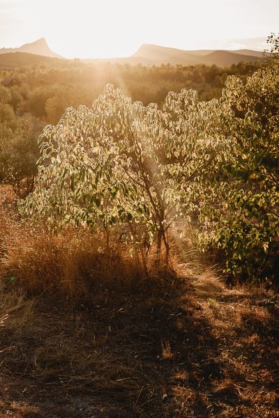 Colourful Chinese Lanterns at Domaine St Germain Wedding Venue, South of France | Ellis Bridal Gown | Andy Gaines Photography | Thompson Granger Films