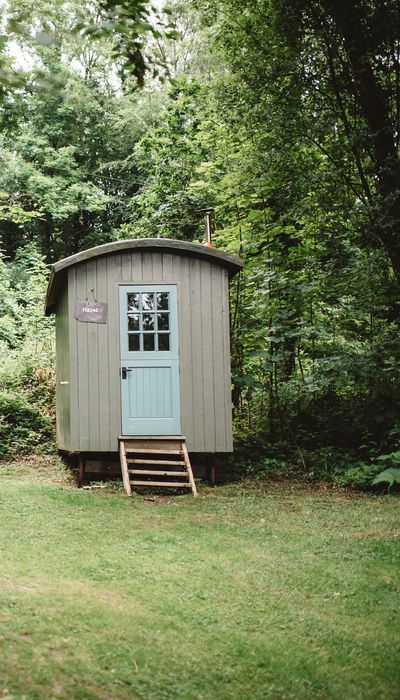 Weddings in the Wood