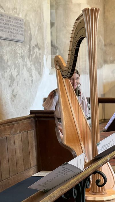 Aoife Miralles, Harpist