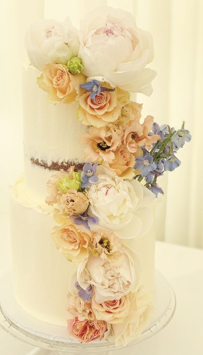 Charlotte Raymond Cake Design 