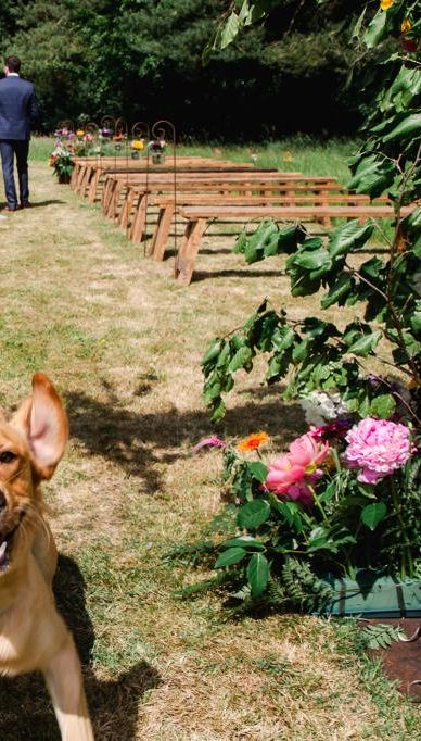 Hubbard’s Farm Weddings