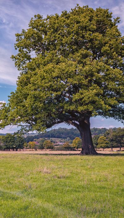 Bespoke at Hartswood Estate