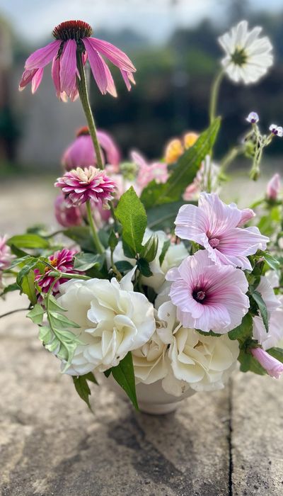 Florence in Flowers