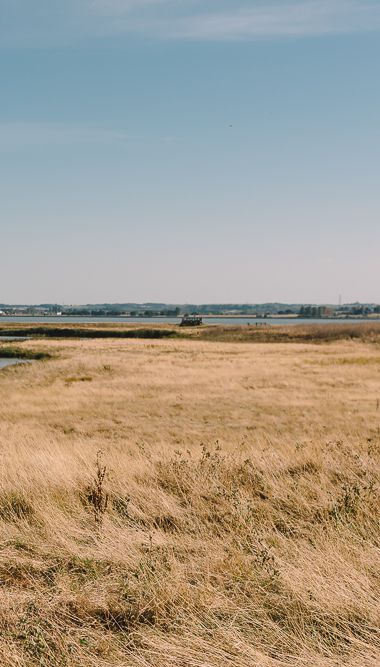 Elmley Nature Reserve