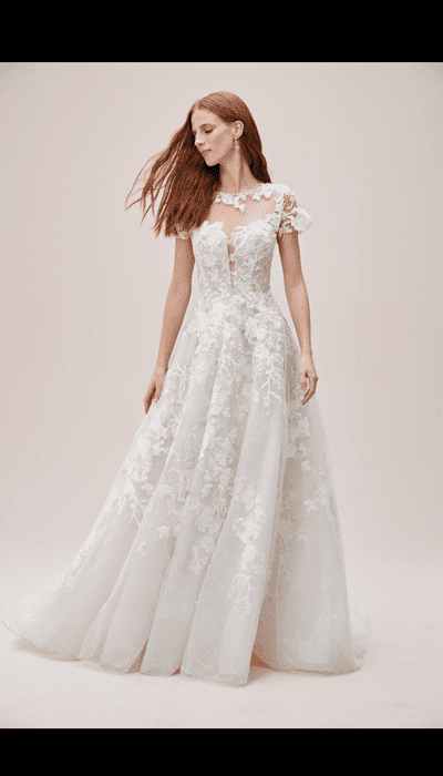 1463 6598dcd9 4d56 4b4e 8bec 4bc6ddff1848