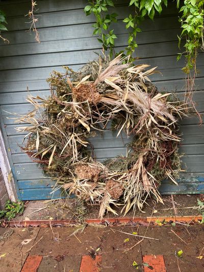 2991 img 20210809 wa0002