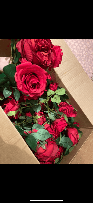 1236 0aa60963 ba07 499b 879d 928404151a92