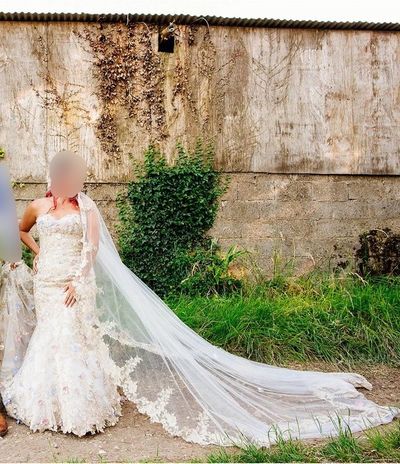 14931 blur 12102023 04