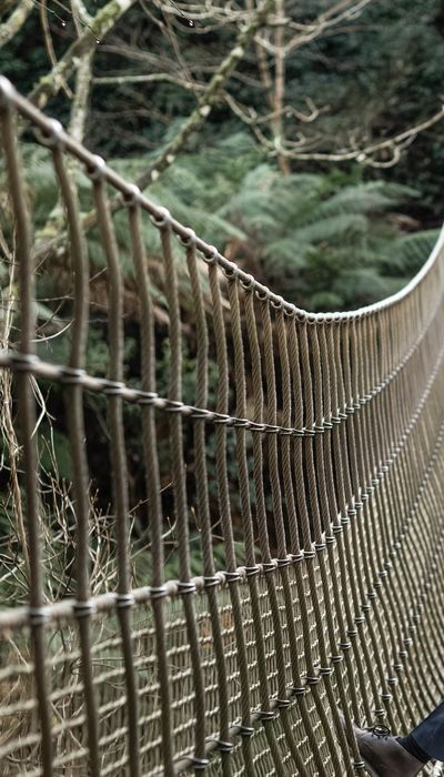 The Lost Gardens of Heligan