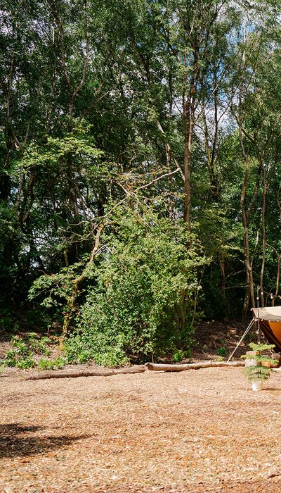 Hillfort woodland weddings