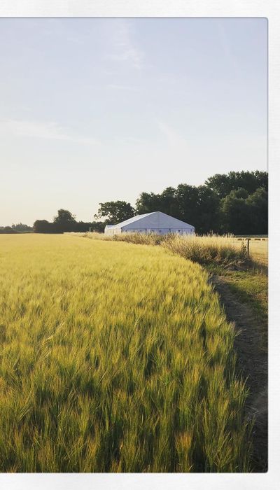 Rectory Farm Meadow