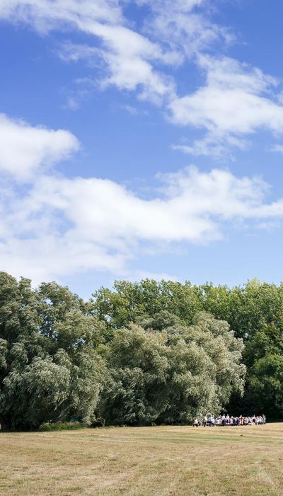 Rectory Farm Meadow