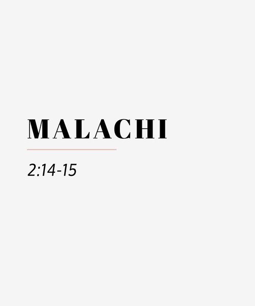 malachi 2 14 15