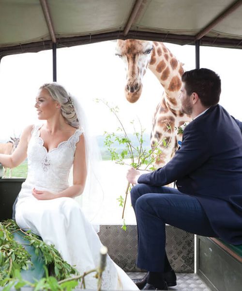 port lymph wildlife reserve and safari hotel wedding competition