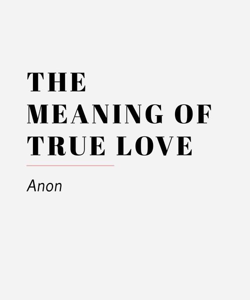 the meaning of true love anon 13