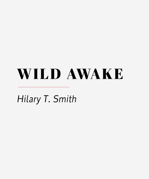 Wild Awake 19