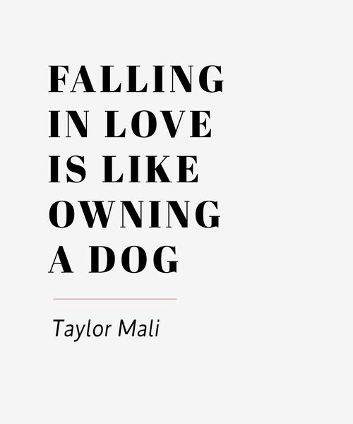 Falling In Love Is Like Owning A Dog Cover 48