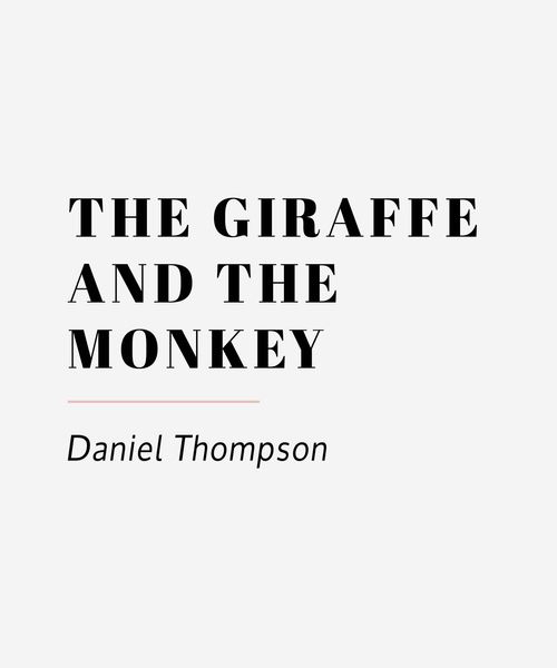 Cover 11 The Giraffe and the Monkey by Daniel Thompson