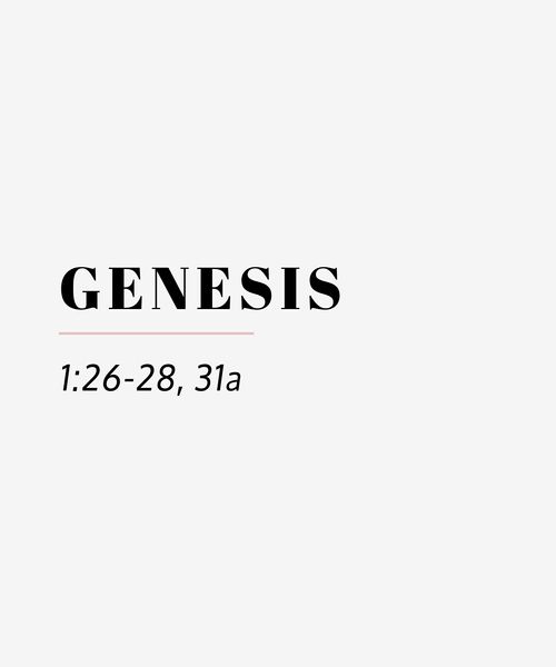 genesis 1 26 28 31a