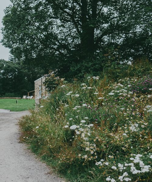 Nancarrow Farm Cornwall Wedding With Bride In Jane Bourvis Gown