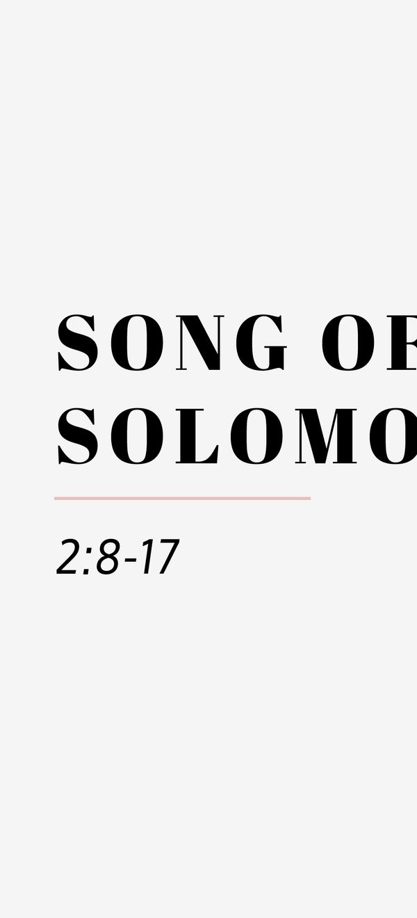 song of solomon 2 8 17