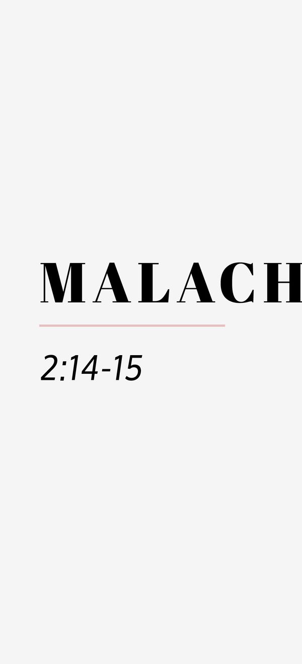 malachi 2 14 15