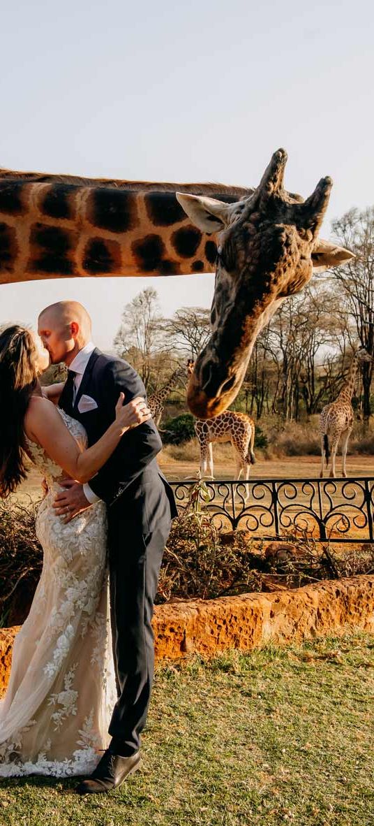 giraffe manor wedding