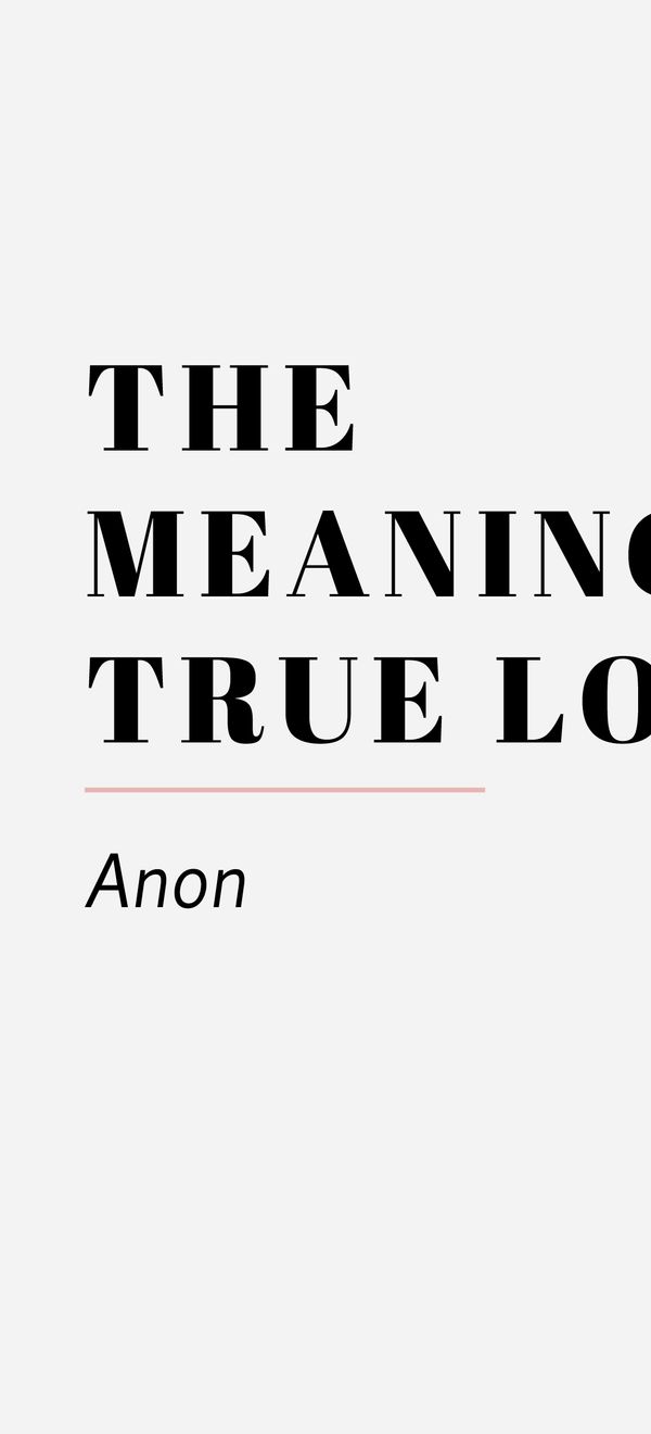 the meaning of true love anon 13