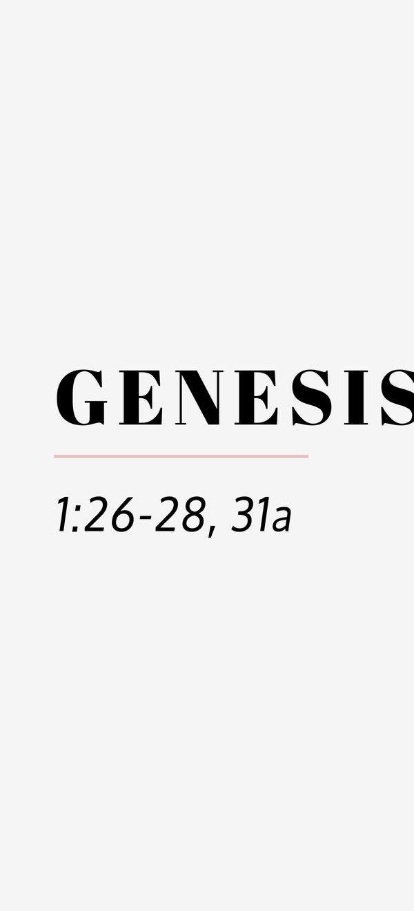 genesis 1 26 28 31a