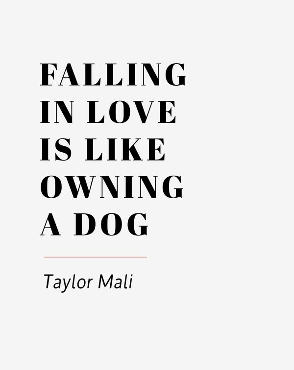 Falling In Love Is Like Owning A Dog Cover 48