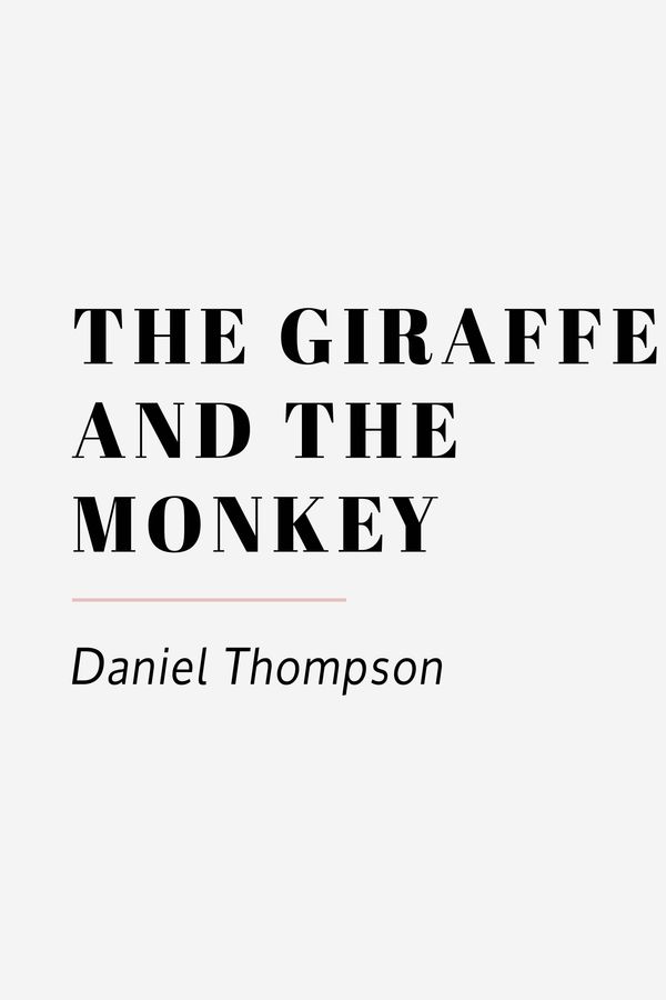Cover 11 The Giraffe and the Monkey by Daniel Thompson
