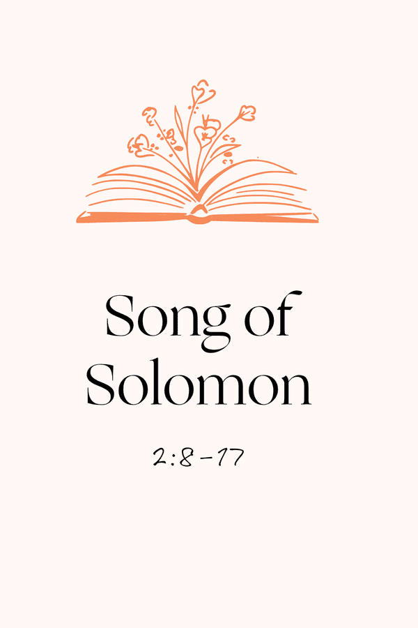 song of solomon 2 8 17