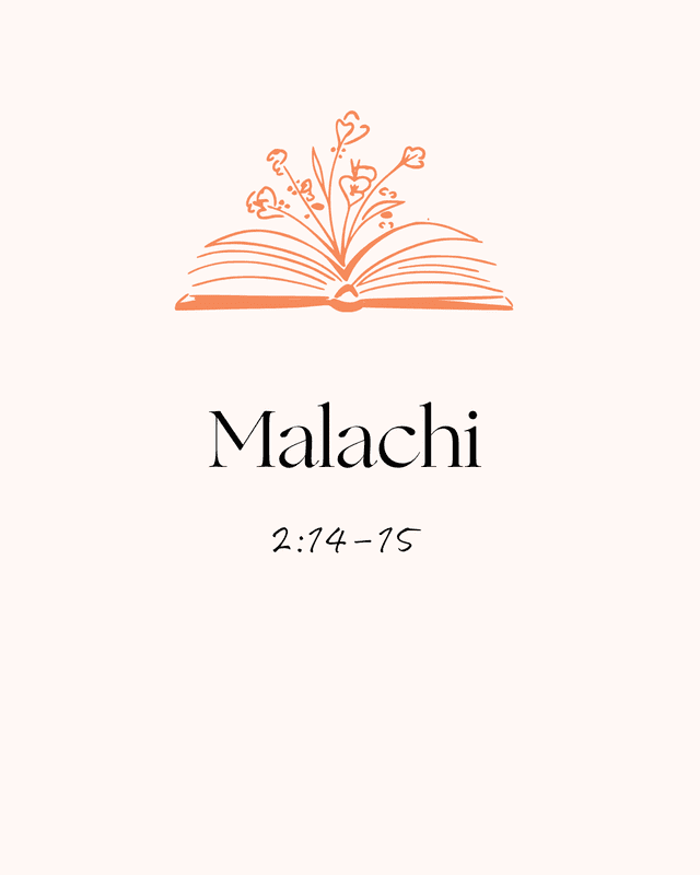 malachi 2 14 15