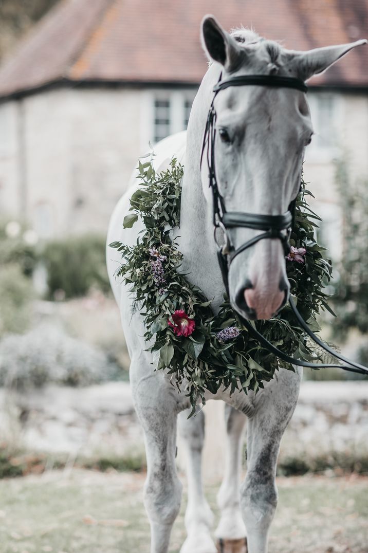 White horse with blue and pink flower collar at church wedding