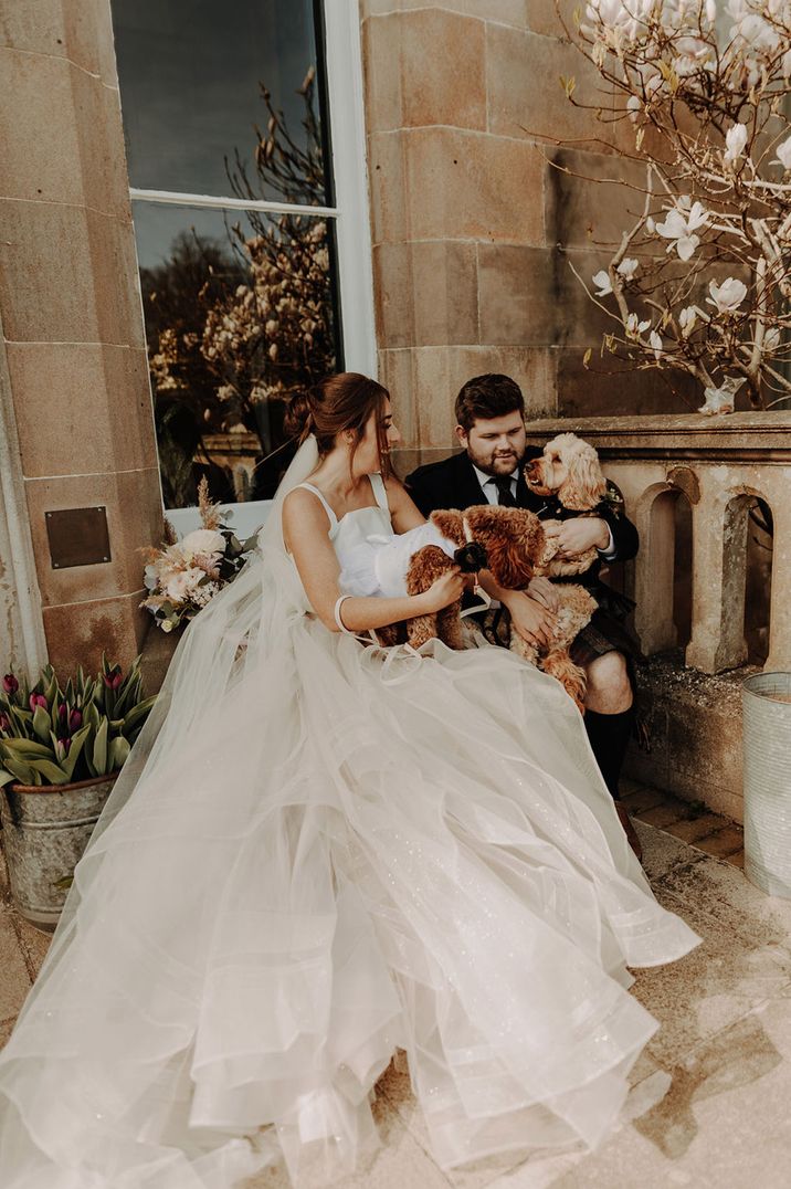 Bride and groom sitting on the steps at the wedding venue with their pet dogs 