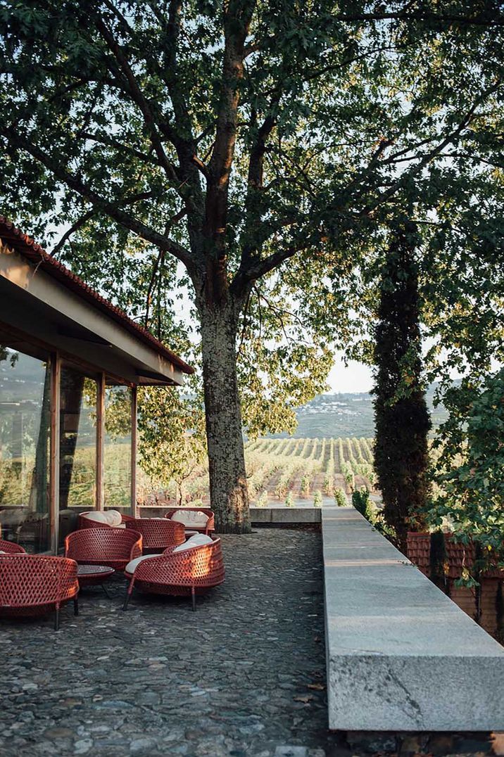 Wedding venue or hen do destination in Porto Portugal with lounging chairs and views of a vineyard by Anna Ferguson Photography