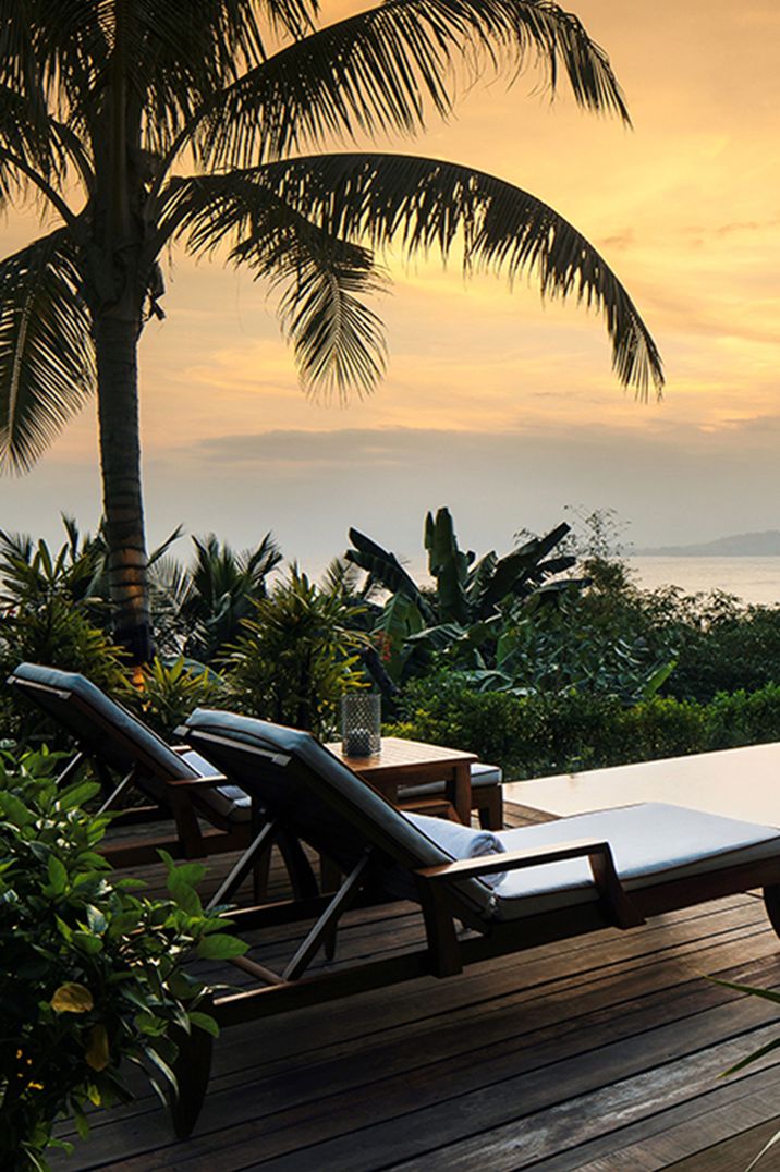 Palm trees at sunset for honeymoon abroad 