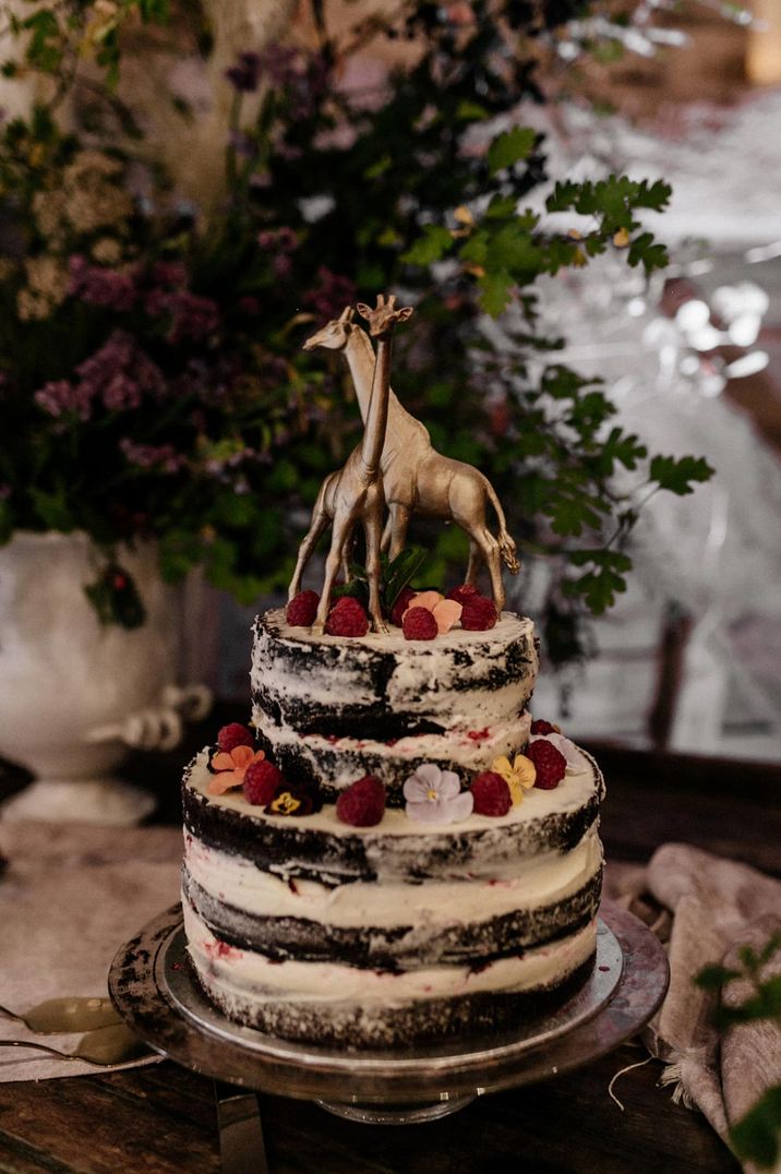 Two tiered chocolate wedding cake with white icing and raspberry and edible flower cake decor with two golden giraffe wedding toppers 