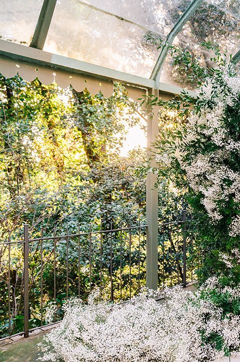 bride-and-groom-kiss-under-white-gypsophila-wedding-flowers