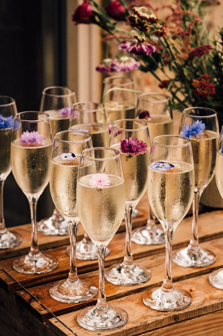 Glasses of champagne with colourful edible flowers for cocktail party 