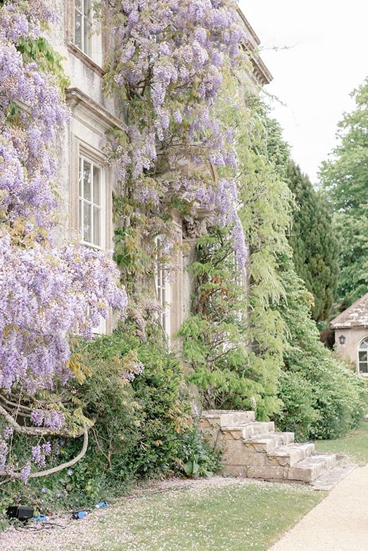 Wisteria flowers decorate the building with bride in tulle blue wedding dress walking around the venue 