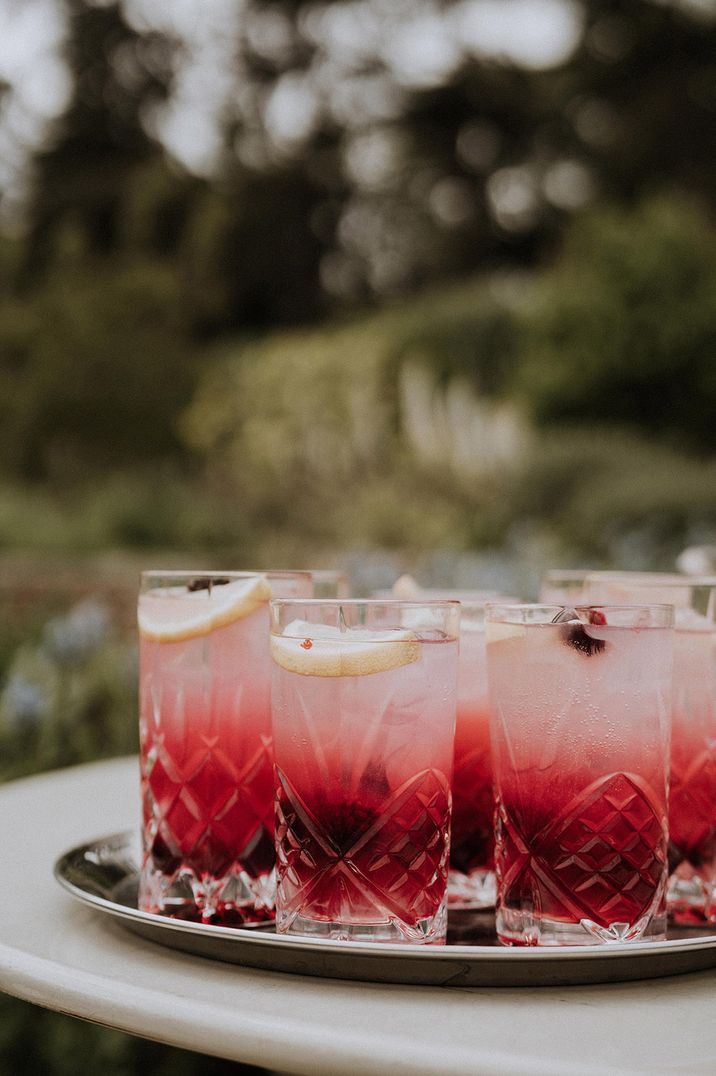 Red and pink wedding cocktails topped with berries 